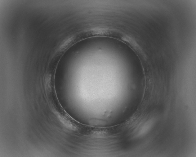X0000081270066200701111317