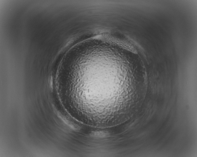 X0000081270067200701111317