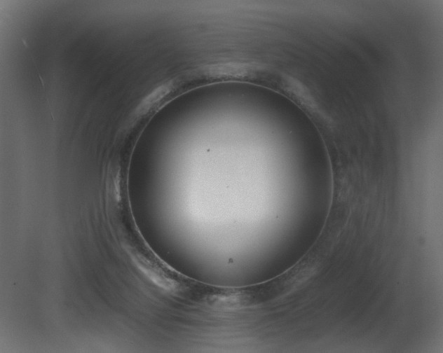 X0000081270068200701111317