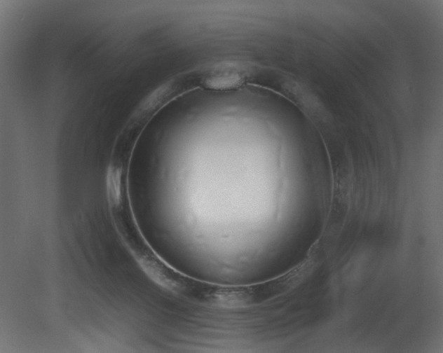 X0000081270070200701111317