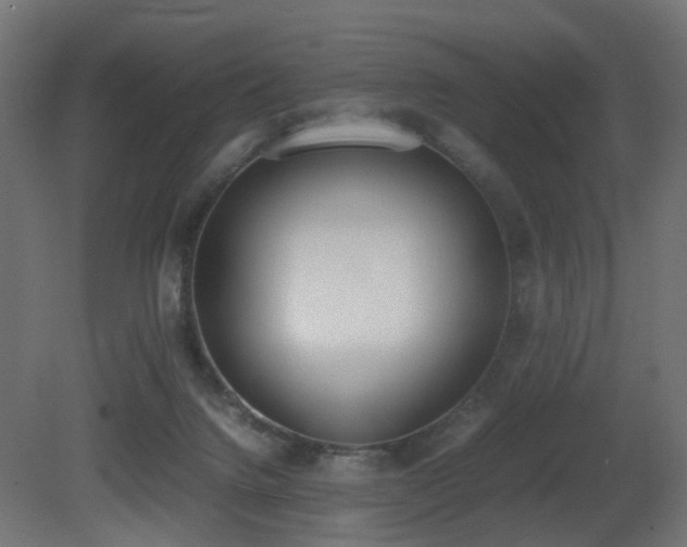 X0000081270072200701111317