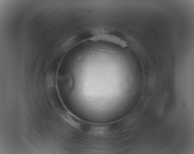 X0000081270081200701111317