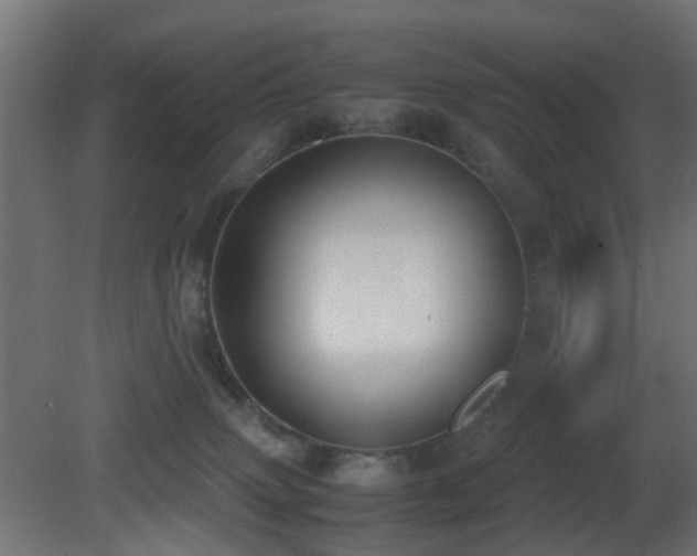 X0000081270083200701111317