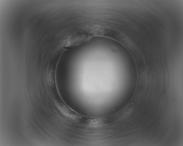 X0000081270088200701111317