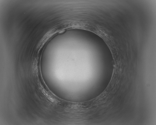 X0000081270098200701111317