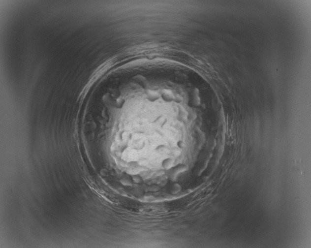 X0000081270099200701111316