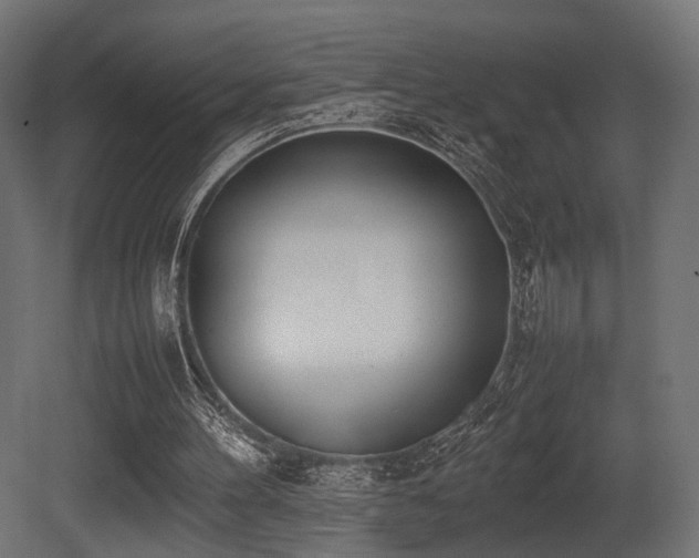 X0000081270100200701111316