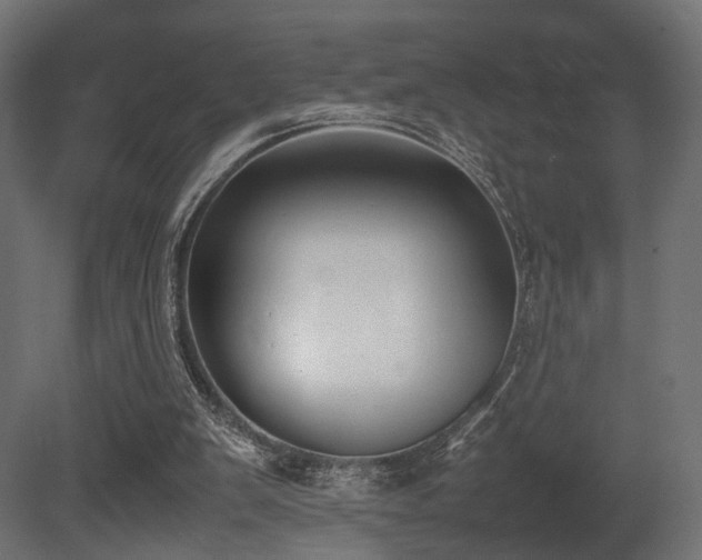 X0000081270103200701111316