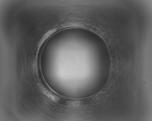 X0000081270104200701111316