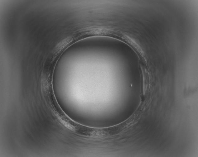 X0000081270105200701111316