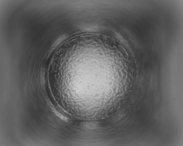 X0000081270106200701111316