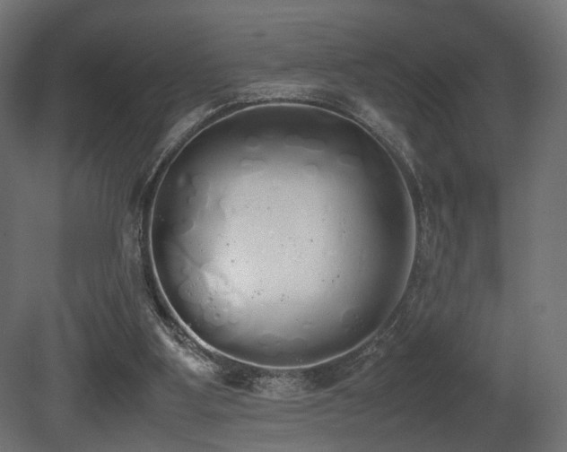 X0000081270107200701111316