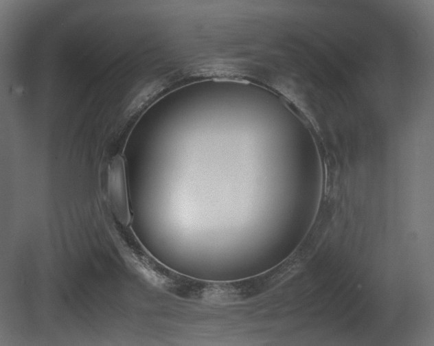 X0000081270109200701111316