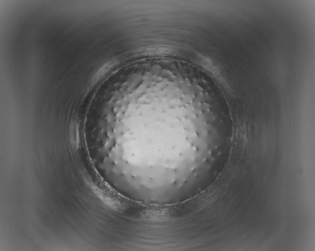 X0000081270110200701111316