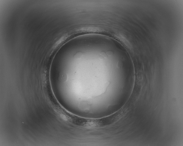 X0000081270111200701111316