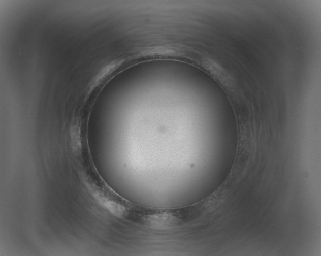 X0000081270112200701111316