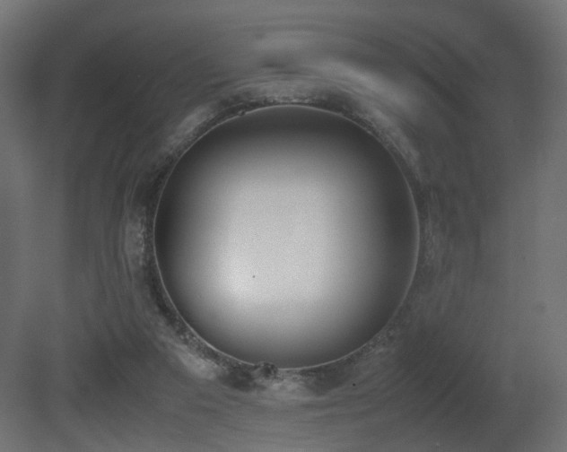 X0000081270113200701111316