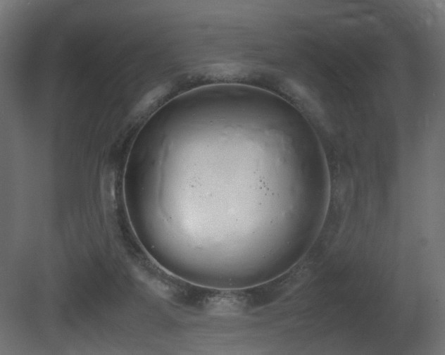 X0000081270115200701111316