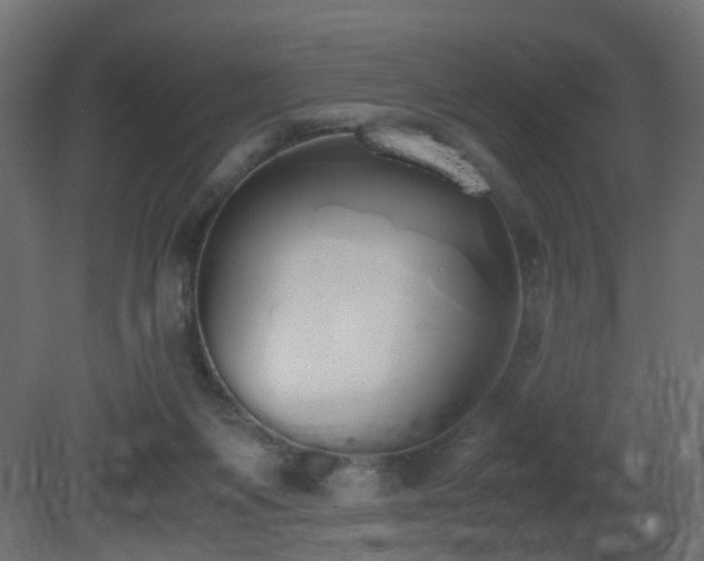 X0000081270119200701111316