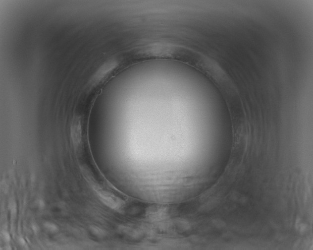 X0000081270120200701111316