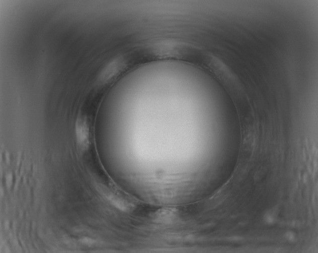 X0000081270124200701111316