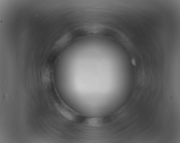 X0000081270126200701111316