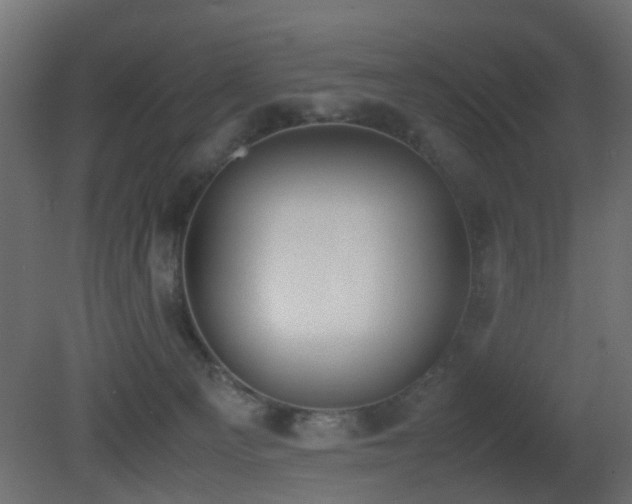 X0000081270129200701111316