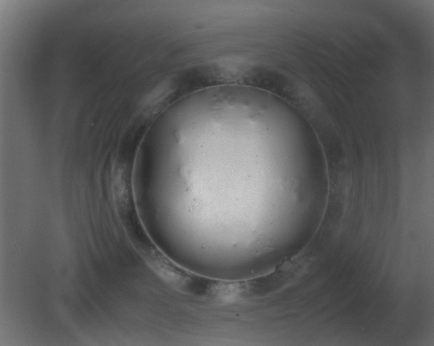 X0000081270131200701111316