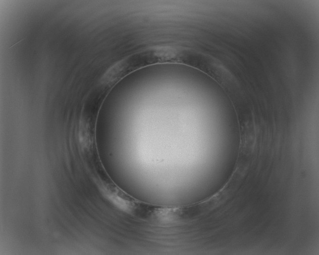 X0000081270136200701111316