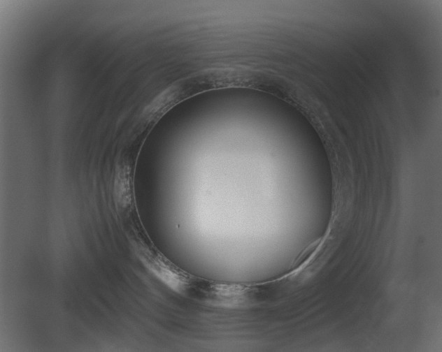 X0000081270144200701111316