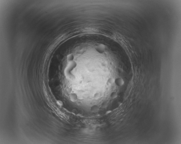 X0000081270145200701111315