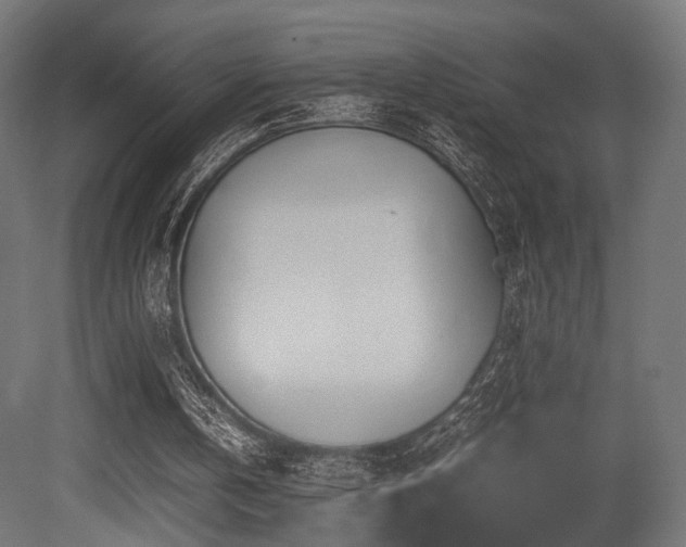 X0000081270146200701111315