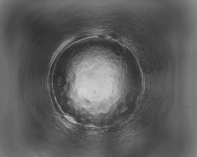 X0000081270147200701111315