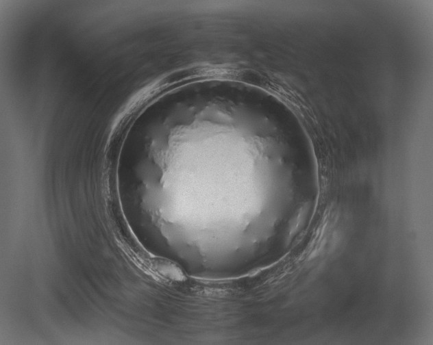 X0000081270149200701111315