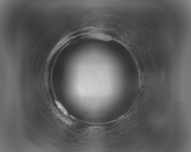X0000081270150200701111315