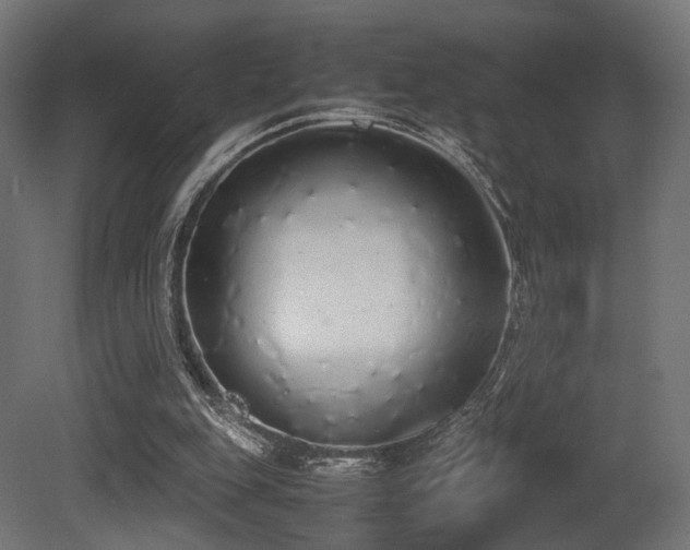 X0000081270151200701111315
