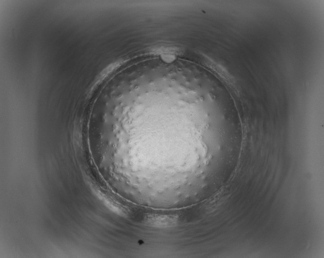 X0000081270155200701111315