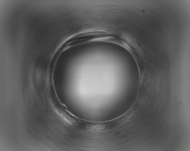 X0000081270156200701111315