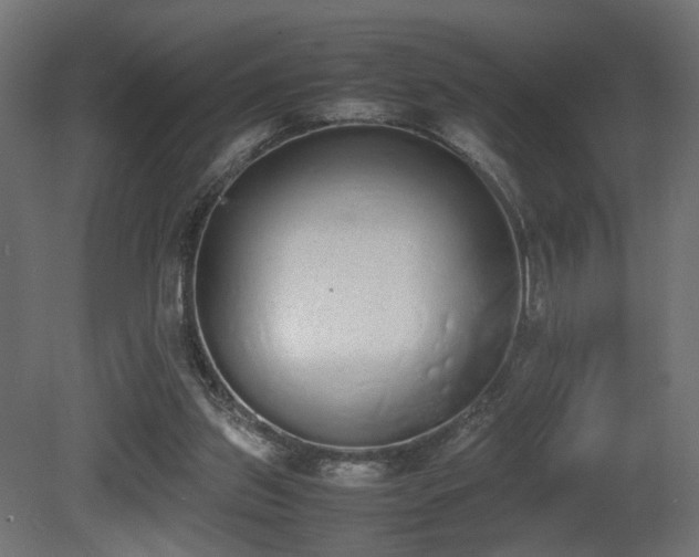 X0000081270157200701111315