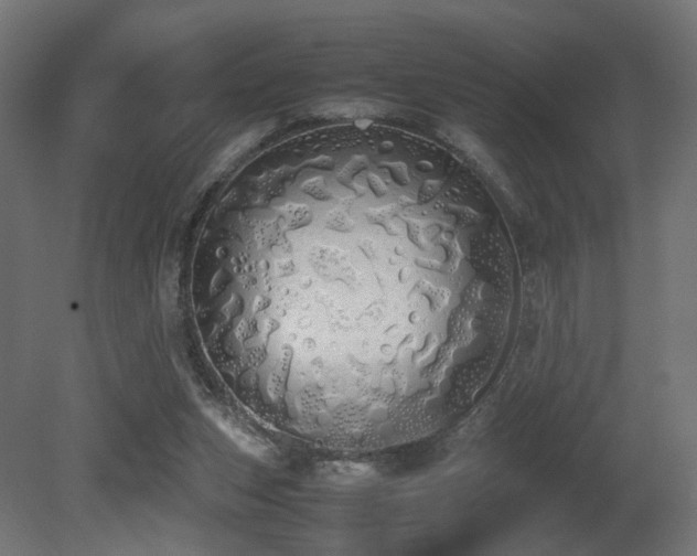 X0000081270159200701111315