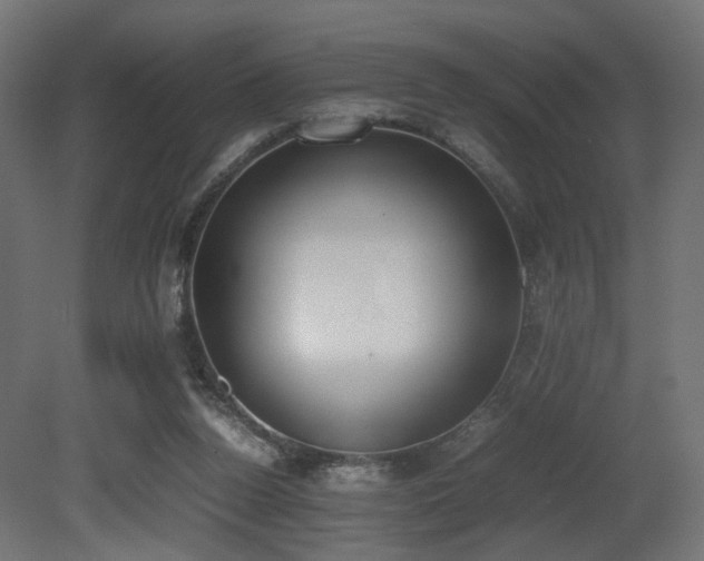 X0000081270160200701111315