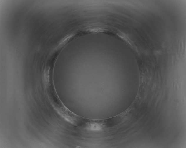 X0000081270163200701111315
