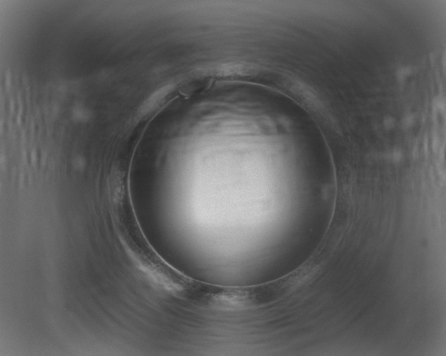 X0000081270164200701111315