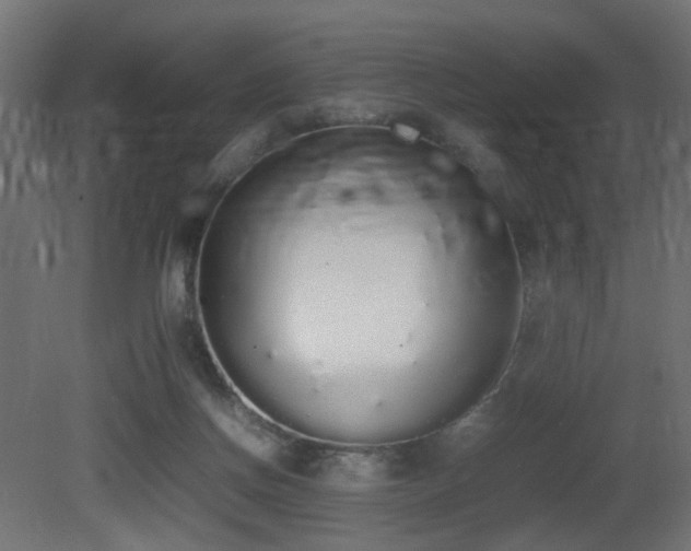 X0000081270166200701111315