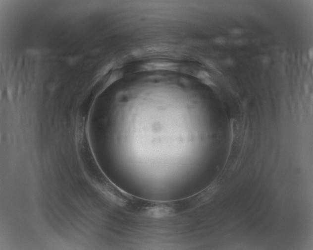 X0000081270168200701111315