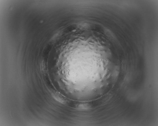 X0000081270173200701111315