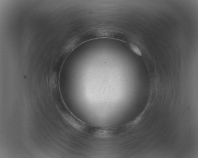 X0000081270174200701111315