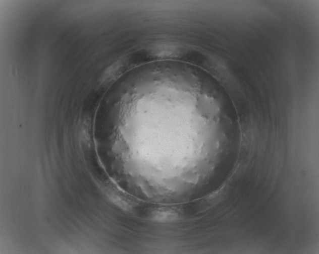 X0000081270175200701111315