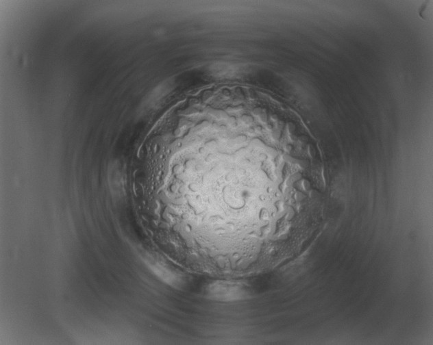 X0000081270179200701111315