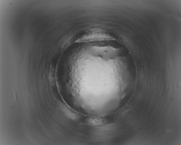 X0000081270181200701111316